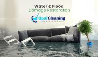 Opal Flood Damage Restoration Adelaide image 5